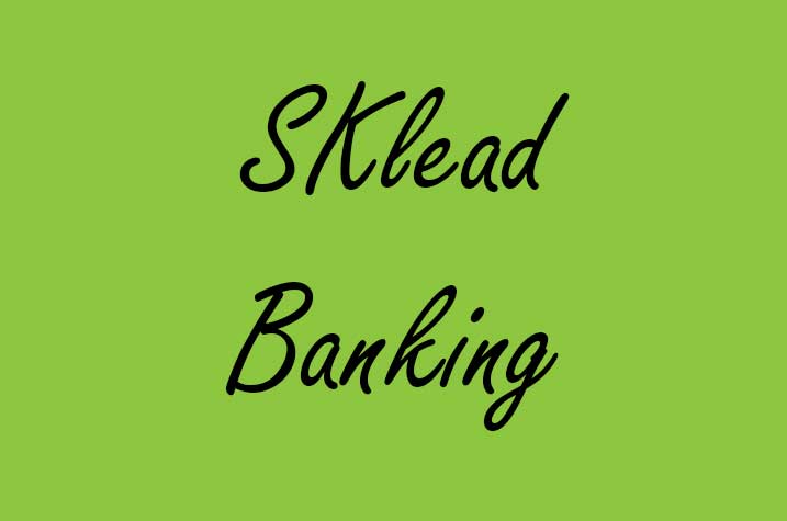  SKlead Banking Industry Ads Agency 