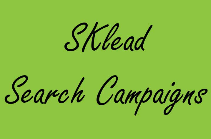  SKlead AdWords Search Ads 